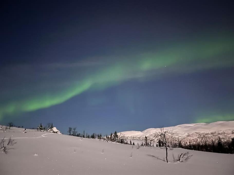 Apartment Eide Aurora Tromso